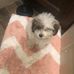 Nancy Colucci - Facebook