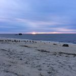 Nancy Comstock Smith - @ncomstocksmith - Instagram
