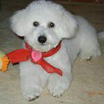 Nancy Comstock Stephens - @nstephens29 - Instagram