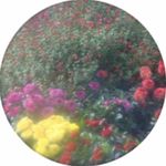 Nancy McCaffrey Conaway - @coawaynacy - Instagram