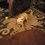 Nancy Conder - @condernancy - Instagram