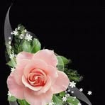 Nancy Condo - Facebook