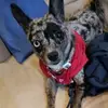 Nancy Cone - @nancy.cone - TikTok