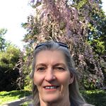 Nancy Connors Dwyer - @nancyconnorsdwyer - Instagram