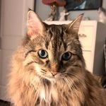 Nancy  Constable - @constable_nancy - Instagram