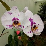 Nancy Stroeder Constantino - @nancystroeder - Instagram