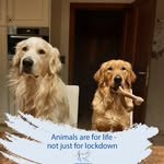 Nancy Cools - @nancy.cools1 - Instagram