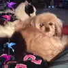 Nancy Copp Brock - @nancycoppbrock - TikTok