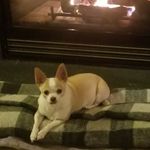 Nancy Corbin - @nmartina31860 - Instagram
