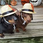Nancy Corbin Doremus - @nancycorbindoremus - Instagram
