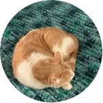 Nancy Corner - @nancycorner742 - Instagram
