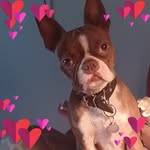 Nancy Corriveau - @nancy.loll - Instagram