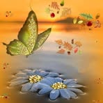 Nancy Cosio - Facebook