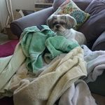 Nancy Cottingham - @nancycottinham45 - Instagram