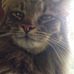 Nancy Cotton - Facebook