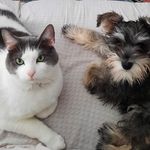 Nancy Coulombe - @coun_70 - Instagram