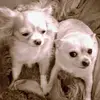 nancycoupe690 - @nancycoupe690 - TikTok