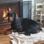 Nancy Crafton - @crafton.nancy - Instagram