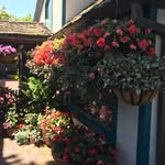 Nancy Crafton - @nancyakayayax6 - Instagram
