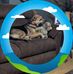 Nancy Cragg - Facebook