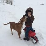 Nancy Crider - @cridernancy - Instagram