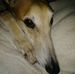 Nancy Crisler - Facebook