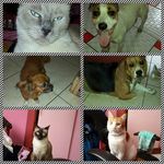 Nancy Huaman Cristobal - @nancyhuamancristobal - Instagram