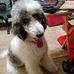 Nancy Crites - Facebook