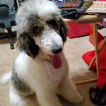 Nancy Crites - @funquilter71 - Instagram