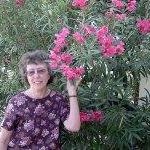 Nancy V. Crites - @nancyv.crites - Instagram