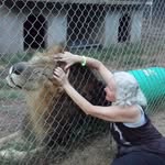 Nancy Crockett - @nanc.ycrockett - Instagram