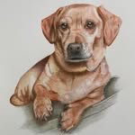 Nancy Crockett Cooper - @nancycooper_portraitartist - Instagram