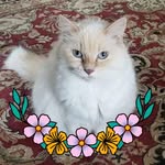 Nancy Crombie Robinson - @nancy41138aolcom - Instagram