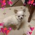Nancy Crosbie - Facebook
