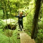 Nancy Crossan - @nancy.crossan.5 - Instagram