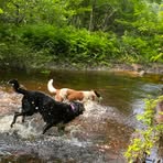 Nancy Crossley - Facebook