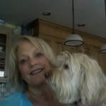 Nancy Crossley Pirrello - @crossley321 - Instagram