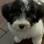 Nancy Crossley Pirrello - @nancycrossleypirrello - Instagram