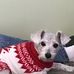 Nancy Crouch - Facebook