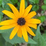 Nancy Crowder Cofer - @cofereca33 - Instagram