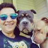 Nancy's dog world - @nancycrowder - TikTok