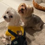 Nancy Crownover Bourke - @doxiemama1123 - Instagram