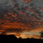 Nancy Cuellar - Facebook