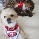 Nancy Cullen - @nancymaecullen - Instagram