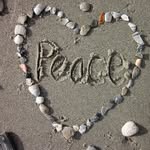 Nancy Cullinane - @cullinanenancy - Instagram