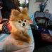 Nancy Culver - Facebook