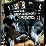 Nancy Hunt Culver - @huntculver - Instagram