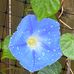 Nancy Cunningham - Facebook
