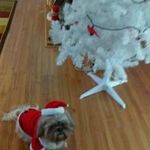Nancy Cunningham - @nancy.cunningham.18 - Instagram
