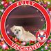 Nancy Cunningham - Facebook